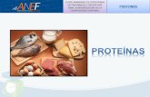 ¿Qué son las proteínas? - PRESENTACIONcpatermi.com/resources/6.-+Proteinas.pdf · • Nuestro organismo repone el fondo de AA a base de proteína muscular e inhibiendo resto de