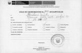HOJA DE COORDINACION No./062/-2014-MTC/04transparencia.mtc.gob.pe/idm_docs/P_recientes/5788.pdf · socA DEL N° 2320-2014-MTC/15 Lima, 02 de junio de 2014 gótectowd VISTO: el expediente