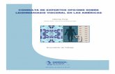 Consulta de Expertos OPS/OMS sobre Leishmaniasis Visceral ...portalarquivos.saude.gov.br/images/pdf/2014/julho/18/Consulta-de... · - Vigilância entomológica e controle de vetores