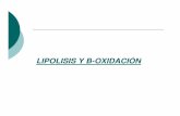 LIPOLISIS Y B -OXIDACIÓN - sgpwe.izt.uam.mxsgpwe.izt.uam.mx/files/users/uami/retana/Lipolisis_y_beta... · fundamentos de bioquímica metabólica 2da edición garrido Pertierra Armando