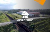 Líder en correas transportadoras en Sudamérica · • Inaugurada la segunda planta en Marabá (inversión de más de 100 millones de reales) • Líder en el mercado nacional •