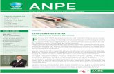 ANPE · pomposo SIGPEC (sistema informático de gestión de personal) y el famo - so portal web, y sin embargo, la información sigue sin llegar a los intere -