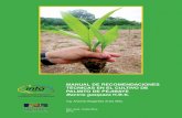 Manual de recomendaciones técnicas en el cultivo de ... · Title: Manual de recomendaciones técnicas en el cultivo de palmito - Antonio Bogantes Arias - Plataforma PLATICAR Created