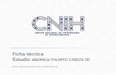 PALMITO CABEZA 3D - gob.mx · PALMITO CABEZA 3D Levantamiento Ortogonal Terrestre Sismica de Reflexion Tridimensional PEMEX - COMESA 14N / NAD27 16 noviembre 2000 - 31 octubre 2001
