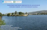 PROBLEMAS SANITARIOS EMERGENTES EN LAS AGUAS DE … · Presencia de Cryptosporidium spp. y Giardia duodenalis en el agua de consumo en Galicia Estos resultados demuestran la amplia