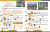 Produccion de madera de abeto douglas Pseudotsuga ...selvicultor.net/PDF/5.pdf · La pluviometría es de 805 mm anuales, la temperatura media de las máximas del mes más cálido