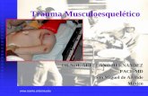 Trauma Musculoesquelético - reeme.arizona.edu Musculoskeletal.pdf ·  Trauma Musculoesquelético DR NOE ARELLANO HERNANDEZ PACE-MD San Miguel de Allende México