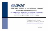 Eduardo Pereira Nunes Presidente del IBGE –Brasil ... · En Brasil, IBGE actualiza anualmente el Catastro Estadístico de Empresas , construido con base en el Conteo de Empresas