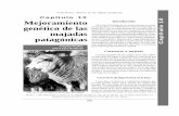 Capítulo 10 Mejoramiento - ppryc.files.wordpress.com · 210 Capítulo 10 Ganadería ovina sustentable en la Patagonia Austral Tabla 10-1: Importancia de caracteres de la lana sucia