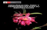 ORQUÍDEAS DEL PERÚ Y HERRAMIENTAS PARA SU … · GUA DE IDENTIFICACIÓN DE ORQUDEAS CON MAYOR DEMANDA COMERCIAL Orquídeas del Perú y herramientas para su identificación 5 Orquídeas