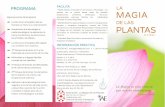 PROGRAMA FACILITA MAGIA - espaciomundo.comespaciomundo.com/wp-content/uploads/2017/03/Trip_TMP2015-MADRID... · a través de mis Apellidos. ... del Tarot Mágico de las Plantas nos