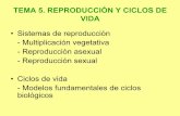 CICLOS DE VIDA - EduBlog UNELLEZblogs.unellez.edu.ve/rennyjmontillae/files/2016/05/alternancia-de... · ciclos de vida gÁmetas masculinas y femeninas fusiÓn de gÁmetas = zigoto
