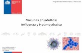 Vacunas en adultos: Influenza y Neumocóccica · CLASIFICACIÓN: • Virus RNA, familia Ortomixoviridae. Género influenzaviridae A, B, C y D . o A y B causan epidemias estacionales