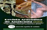 REVISTA ARGENTINA DE ANATOMÍA ONLINE ·  ... PhD – pág. 24: Imagen ... Tratado de anatomía humana, 9ª edición, Editorial Salvat, Barcelona ...