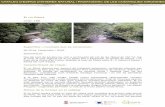 El riu Ritort Codi: 188 - cilma.cat i informes/Cataleg... · Codi: 188 Superfície i municipis que es comprenen: 66,39 ha. Camprodon i Molló. Delimitació: ... (Salmo trutta fario).