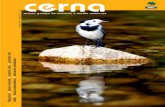 41755 CERNA 53 - adega.galadega.gal/info/090121joomla/files/revista CERNA/CERNA 53.pdf · revista galega de ecoloxía e medio ambiente cerna . cerna 33 cerna Telf. e Fax. 981 570