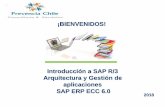¡BIENVENIDOS! - prevencia.clprevencia.cl/pdf/sap_abap.pdf · Ambientes de trabajo en SAP •En Configuración y desarrollo los consultores funcionales realizan la parametrización