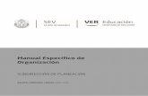 Manual Específico de Organización - sev.gob.mx · de seguimiento de indicadores, manuales administrativos y mejora regulatoria de las diversas áreas de la Secretaría, a las instancias