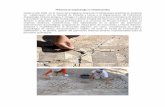 Prácticas de arqueología en Umbría (Italia) · 2012-11-28 · Microsoft Word - Proyecto Aitana pract.docx Author: 52773989Y Created Date: 11/28/2012 11:37:11 AM ...