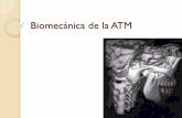Biomecánica de la ATM - ortodonciaqueretaro.weebly.com · ATM 1. Los ligamentos no participan activamente en la función normal de la ATM, estos actúan como alambres guía, restringiendo