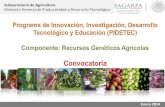 Presentación de PowerPoint - gob.mx · PDF fileFuente: Recursos Fitogenéticos de México para la Alimentación y la Agricultura: Informe Nacional 2006, SAGARPA-SOMEFI. * Cultivo