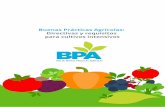 Buenas Prácticas Agrícolas: Directivas y requisitos para ... · Objeto y alcance de las BPA 5 2. Deﬁniciones 5 2.1 Buenas prácticas agrícolas, según FAO/OMS 5 2.2 Otras deﬁniciones.