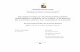 SEGUIMIENTO FARMACOTERAPÉUTICO DE PACIENTES …repositorio.uchile.cl/tesis/uchile/2011/qf-riveros_bf/pdfAmont/qf... · para el registro de todos los antecedentes fue la ficha de
