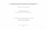 CONSECUENCIAS DEL DESPLAZAMIENTO FORZADO DE …repository.ucc.edu.co/bitstream/ucc/4002/1/2018_consecuencias_des... · fomento de la investigación formativa en temas de Economía