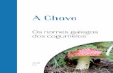 Os nomes galegos dos cogumelos - achave.gal · Notas introdutorias O que contén este documento Neste documento fornécense denominacións sobre todo para especies de cogumelos galegas