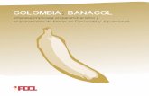 COLOMBIA: BANACOL - tni.org · propuestas de protección de sus vidas y territorios, planes de ordenamiento territorial alternativos desde la memoria, la comunicación alternativa,
