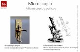 Microscopia · Mejoró significativamente la calidad de imagen del microscopio ... una imagen correcta), ya que la profundidad de ... La imagen formada depende de la luz que