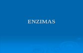 ENZIMAS Y VITAMINAS - bioyciencias.files.wordpress.com · 1.- CONCEPTO DE ENZIMA . Los enzimas son catalizadores muy potentes y eficaces, Químicamente son proteínas . Actúan en