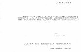 JUNTA DE ENERGÍA NUCLEAR MADRID,1979 - ipen.br · {jamma- para la coiiseryaciÓn de bulbos iiz ajo 1-3 1.5. aplicaciones d2 la tÉcnica 23l culii7o de tejidos en radiobiologÍa 25
