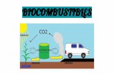 BIOCOMBUSTIBLESiesalandalus.es/images/noticias/2018_2019/biocombustibles.pdf · combustibles: gasolina, biodiesel, etanol, butanol, metano, aceite vegetal, etc. Desventajas: Normalmente,