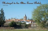 Madrigal de las Altas Torres (Ávila) Mayo, 2006 · 2016-06-26 · Madrigal de las Altas Torres (Ávila) ... Madrigal cae en el olvido. Quizá, por esto, ... Una de las más antiguas