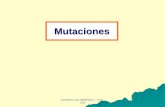 Mutacionesecaths1.s3.amazonaws.com/geneticafaz/361845310.clase Mutaciones... · MUTACIONES Son cambios hereditarios en la estructura del material genético Son cambios (errores) en