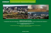 Propuesta Plan de Protección Contra Incendios Forestales ... · 3 INTRODUCCIÓN La “perturbación fuego”, evento denominado comúnmente “incendio forestal”, constituye una