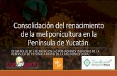 Consolidación del renacimiento de la meliponicultura en la ... · Universidad Intercultural Maya de Quintana Roo Es una Institución de alto nivel académico, con presencia internacional,