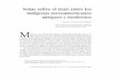 Notas sobre el maíz entre los indígenas mesoamericanos ...dimensionantropologica.inah.gob.mx/wp-content/uploads/02Dimension... · los conocimientos acerca de los tipos de suelos
