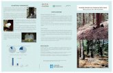 POSIBILIDADES DE RESINACIÓN PARA Pinus pinaster Ait. EN ...mediorural.xunta.gal/fileadmin/arquivos/publicacions/2018/... · de un volumen que guarda proporción con la cantidad de