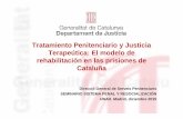 Tratamiento Penitenciario y Justicia Terapeútica: El ... · Terapeútica: El modelo de rehabilitación en las prisiones de Cataluña ... PMOC Planificación i seguimento individualitzado: