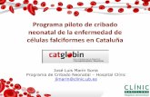 Programa piloto de cribado neonatal de la enfermedad de ... · Prueba piloto Cribado neonatal anemia falciforme 1 año- 2013 (Marzo 2013) Universal Centros CATGLOBIN (15 centros)