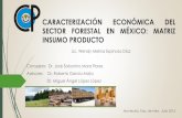 CARACTERIZACI“N ECON“MICA DEL SECTOR FORESTAL M Espinosa D.pdf  El modelo Insumo-Producto es un