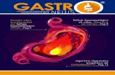 FASCÍCULO DE ENFERMEDADES GASTROINTESTINALES No .3 Fascículo de Enfermedades Gastrointestinales