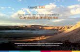 Trabajando una visión compartida: Consulta indígena - fch.cl · indígena, como también a las organizaciones tradicionales y funcionales de los pueblos indígenas. 6 ConsULTa inDigena