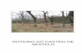 ROTEIRO DO CASTRO DE SESTELO - roteiros.lalin.galroteiros.lalin.gal/wp-content/uploads/2016/04/roteiro-do-castro-de... · terreo por tres costados (oriental, meridional e occidental),