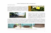 Historia del compost - Monografias.com - Tesis, Documentos ... · Una historia del compost Introducción: A partir de que me empezaron a preguntar como se hacía el compost que tenemos