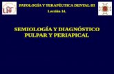 PATOLOGÍA Y TERAPÉUTICA DENTAL III Lección 14. PTD-III... · Es el arte y ciencia del diagnóstico. Análisis e interpretación de las manifestaciones patológicas de la enfermedad