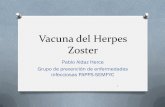 Vacuna del Herpes Zoster - CAMFiC MANAGERgestor.camfic.cat/Uploads/ITEM_2076_EBLOG_2621.pdf · a 75 años se incrementaría hasta un 12 por 1.000 personas-año. • En personas mayores