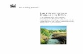 Los ríos del entorno de Doñana y la DMA finalEHawsassets.wwf.es/downloads/dma_y_rios_de_donana.pdf · • Subcuenca de Marisma, que comprende a los Brazos de la Torre, de los Jerónimos